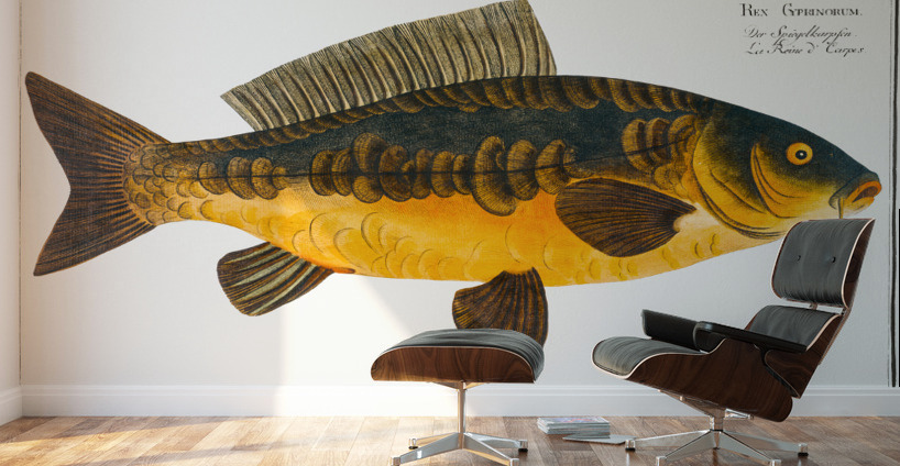 Royal-Carp Rex Cyprinorum Wall Murals