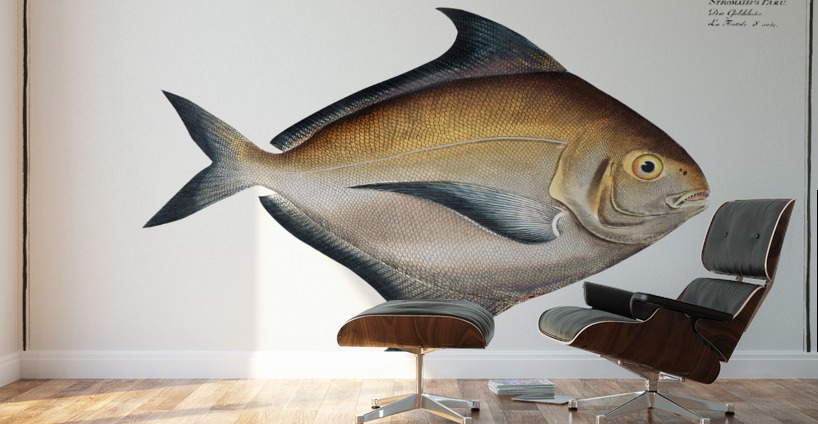 Stromateus Paru Wall Murals