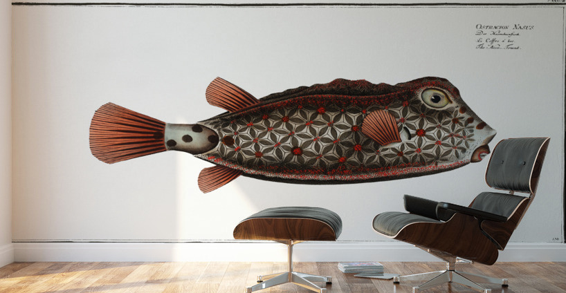 Nose-Trunk Ostracion Nasus Wall Murals