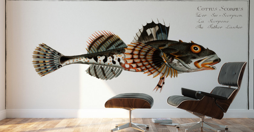 Father Lascher Cottus Scorpius Wall Murals