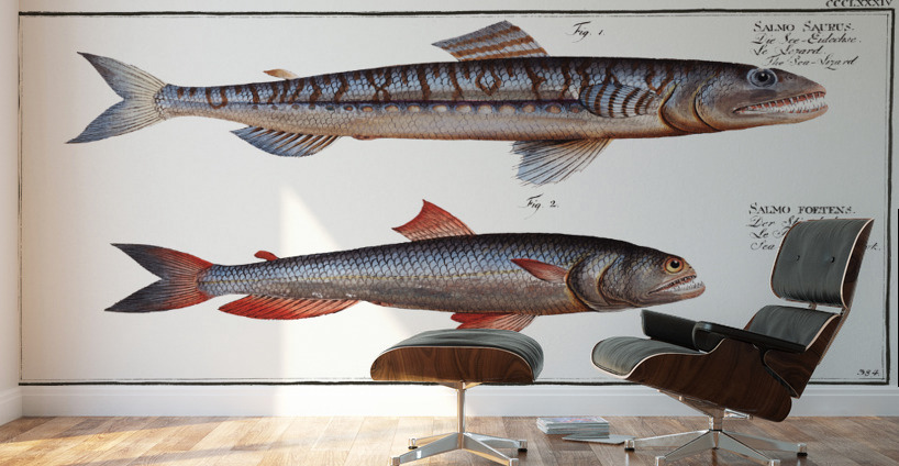 1. Sea-Lizard Salmo Saurus 2. Sea-Sparrow-Hawk Salmo foetens Wall Murals