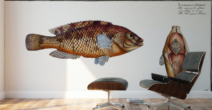 Norvegian Lutian Lutianus Norve Wall Murals