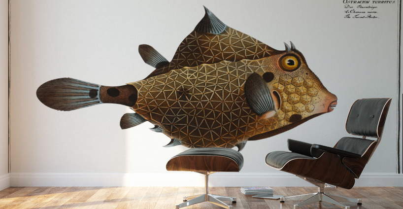 Turret-Porter Ostracion Turritus Wall Murals