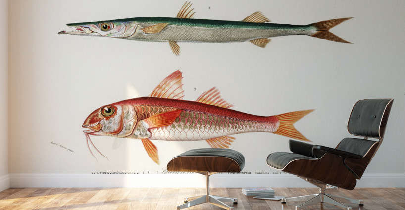 Different types of fishes Wall Murals