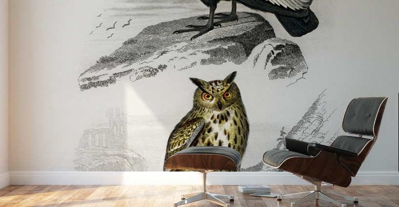 Different types of wasps Wall Murals