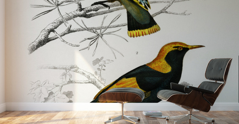 Different types of birds Wall Murals