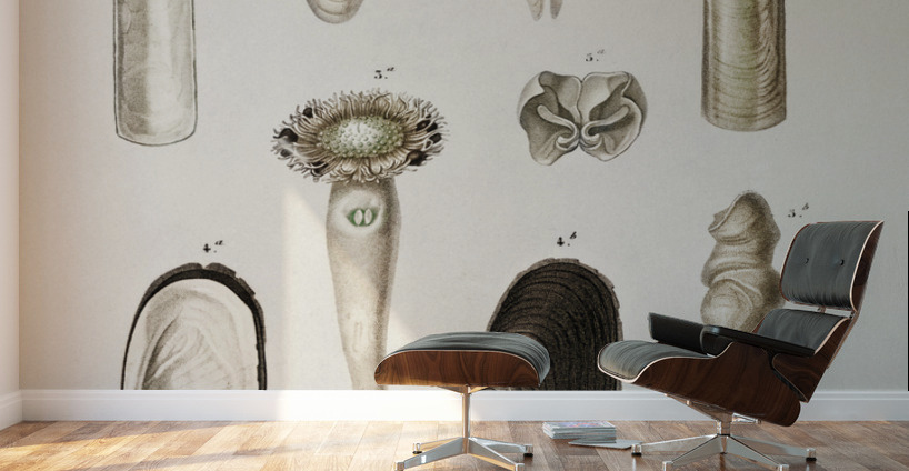 Fails Leo Wall Murals