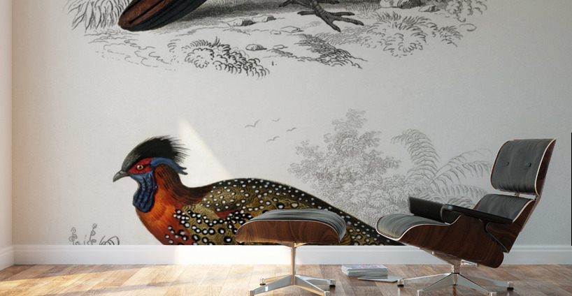 Different types of birds Wall Murals