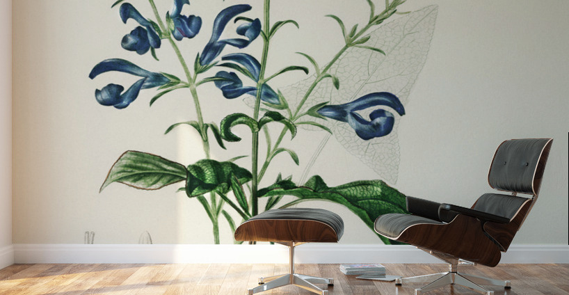 Collection of moths Wall Murals