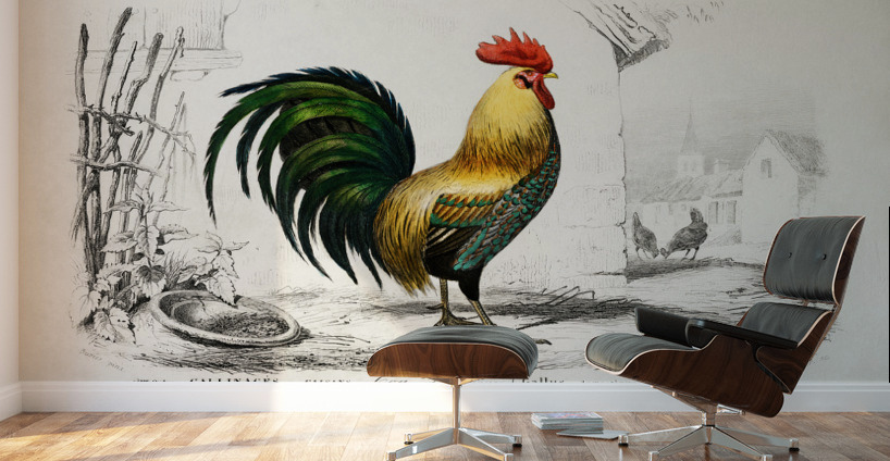 ictionnaire Universel D histoire Naturelle D Orbi 1694477606.4411 Wall Murals