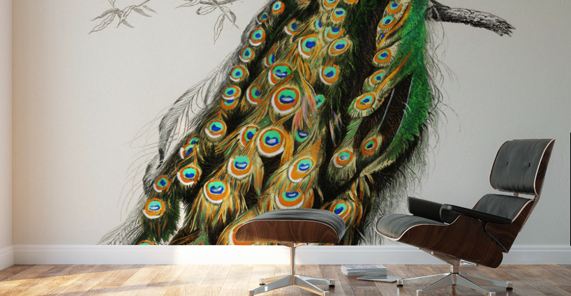 Indian peafowl bird Wall Murals