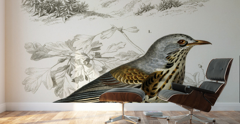 Different types of birds Wall Murals