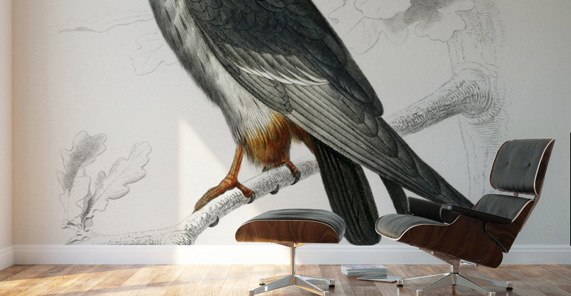 Different types of birds Wall Murals