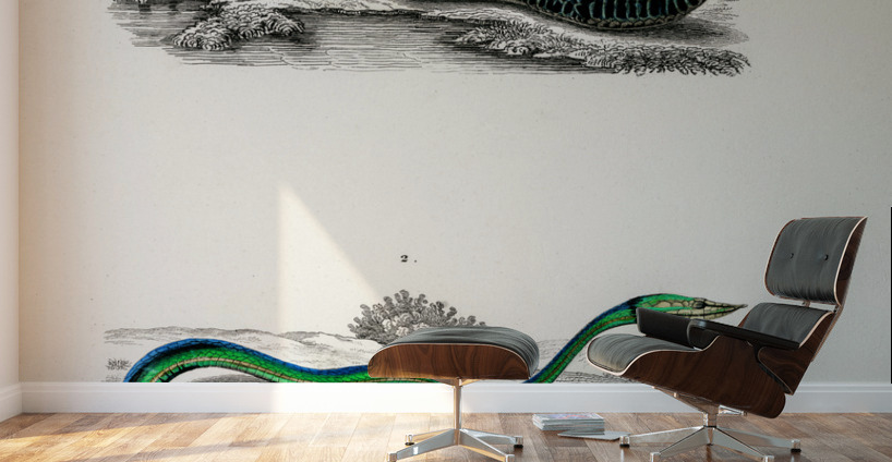 Grass Snake and the green vine snake Wall Murals