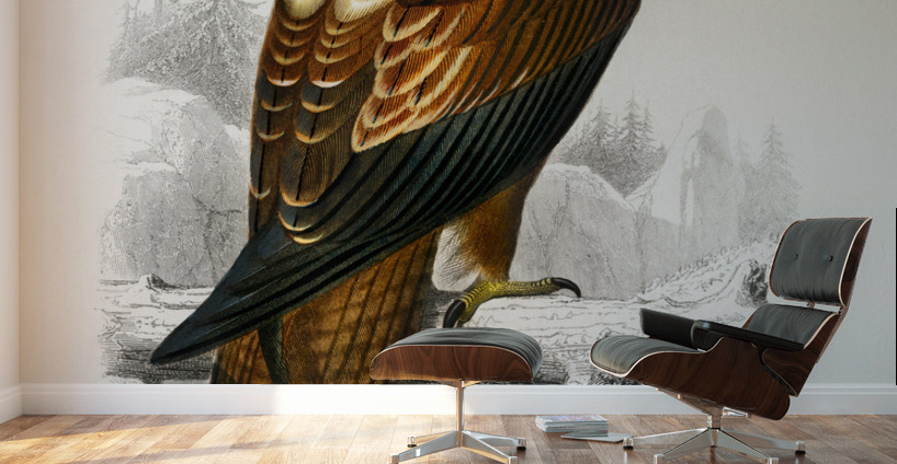 Eastern imperial eagle Aquila heliaca Wall Murals