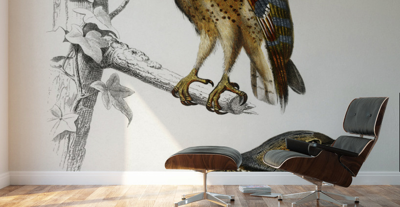 Different types of birds Wall Murals