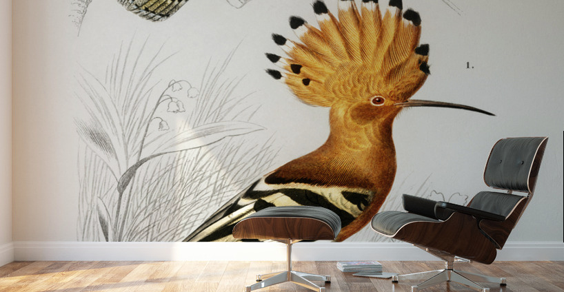 Different types of birds Wall Murals