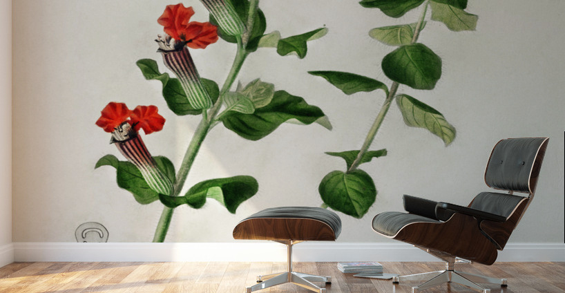Different types of birds Wall Murals
