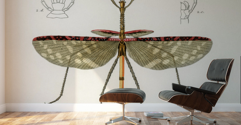 Cyphocrana titan Wall Murals