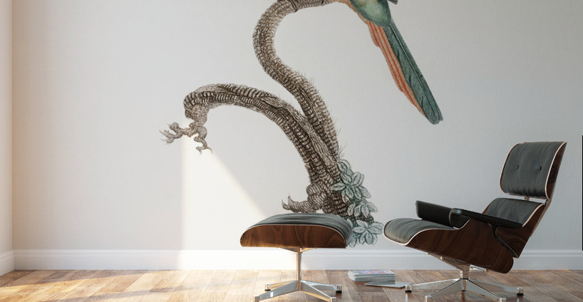 Rufous-tailed Jacamar Wall Murals