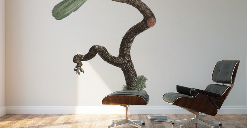 Green-tailed Jacamarmale  Wall Murals