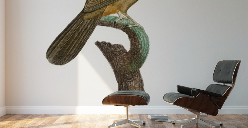 White-cheeked Jay  Wall Murals