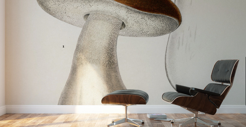 Penny bun Boletus edulis Wall Murals