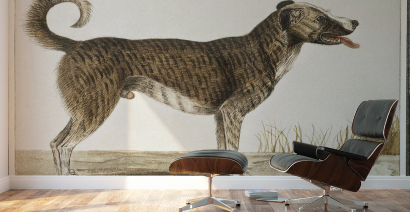 Dog in vintage style Wall Murals