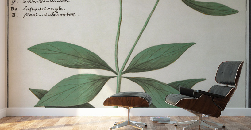 Silk plant in vintage style Wall Murals