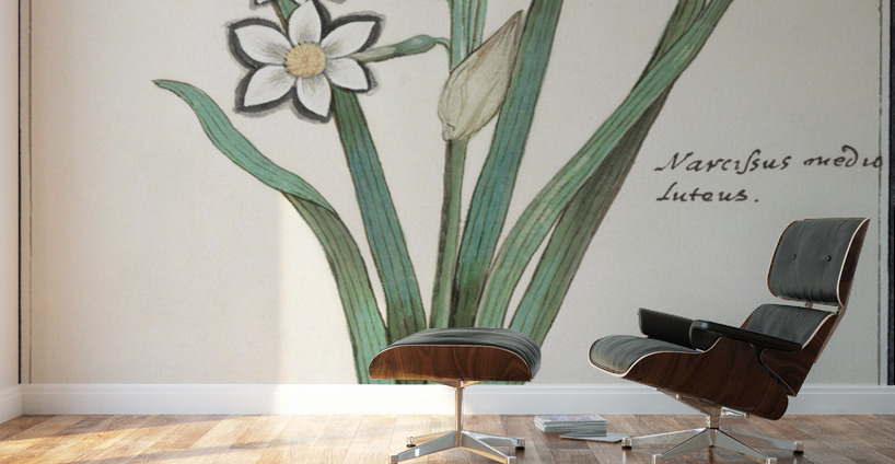 Iris in vintage style Wall Murals