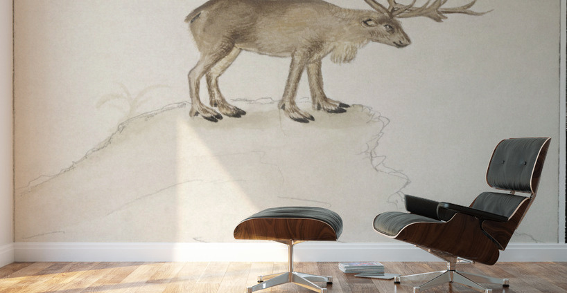 Reindeer in vintage style Wall Murals
