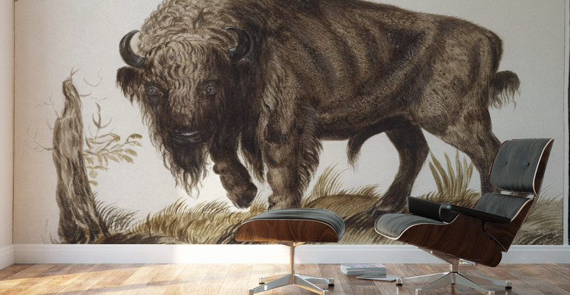 Wisent in vintage style Wall Murals