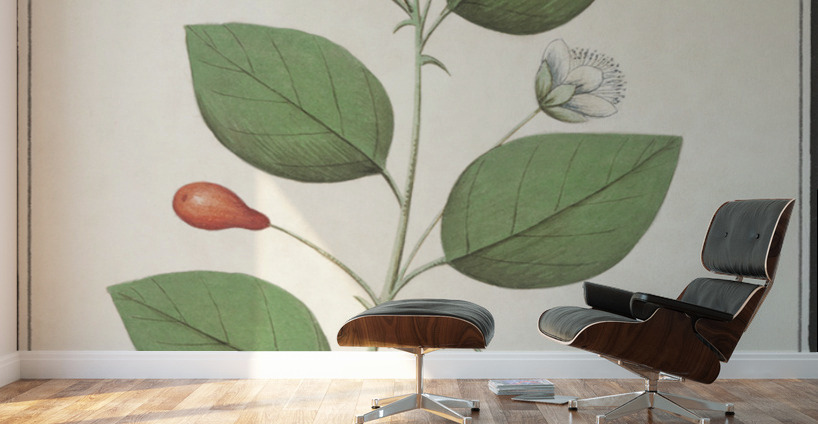 Myrtle family in vintage style Wall Murals
