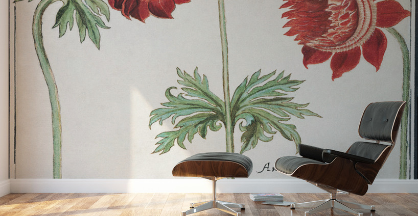 Peony and anemone in vintage style Wall Murals