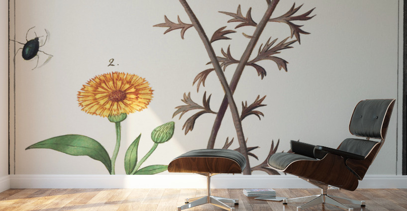 Pink flower and marigold in vintage style Wall Murals