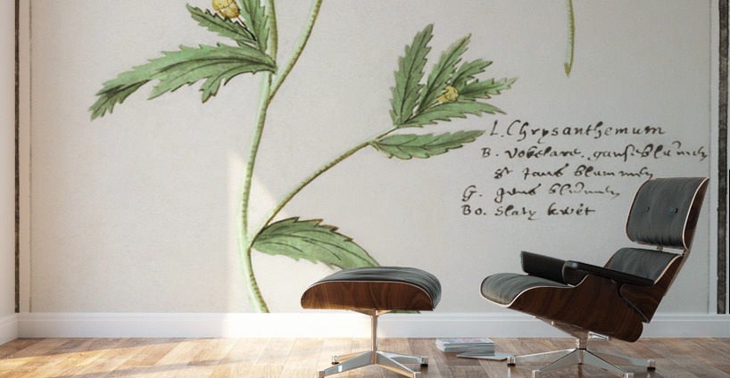 Chrysanths in vintage style Wall Murals