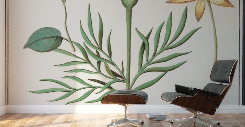 Viola daffodil and marigold Wall Murals