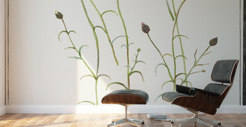 Cornflower in vintage style Wall Murals