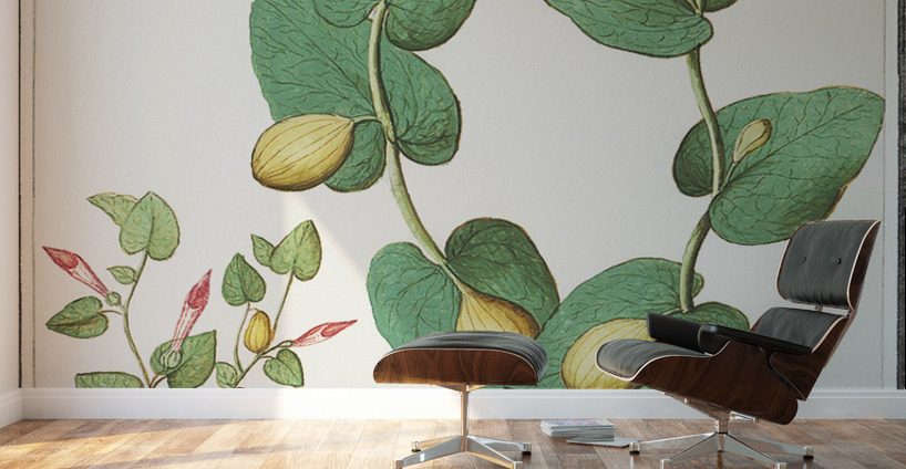 Unknown plant in vintage style Wall Murals
