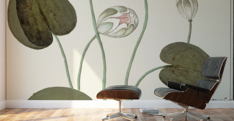 Water lily in vintage style Wall Murals