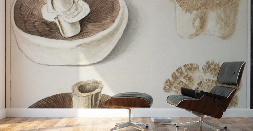 Mushrooms in vintage style Wall Murals