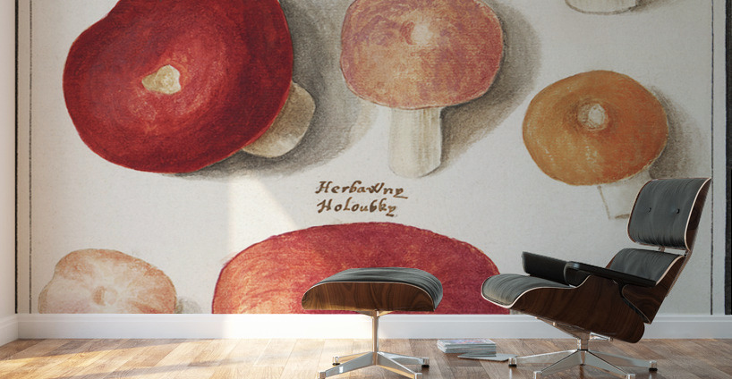 Mushrooms in vintage style Wall Murals