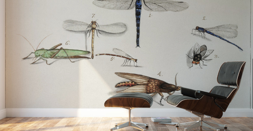 Dragonflies in vintage style Wall Murals