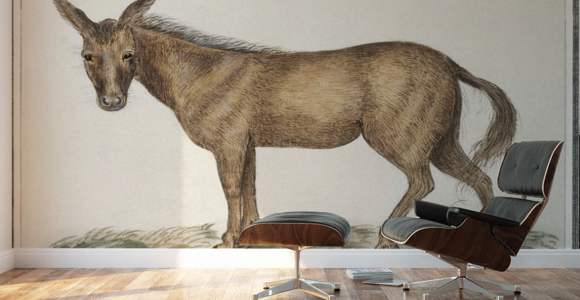 Mule in vintage style Wall Murals