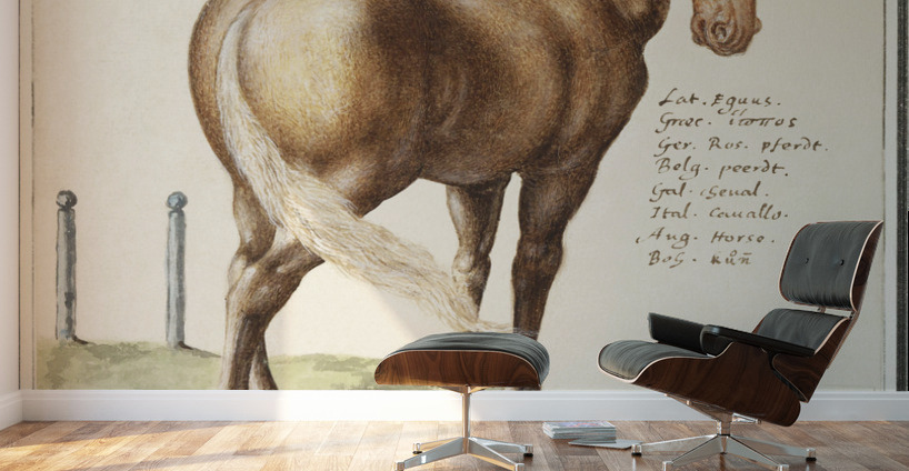 Horse in vintage style Wall Murals
