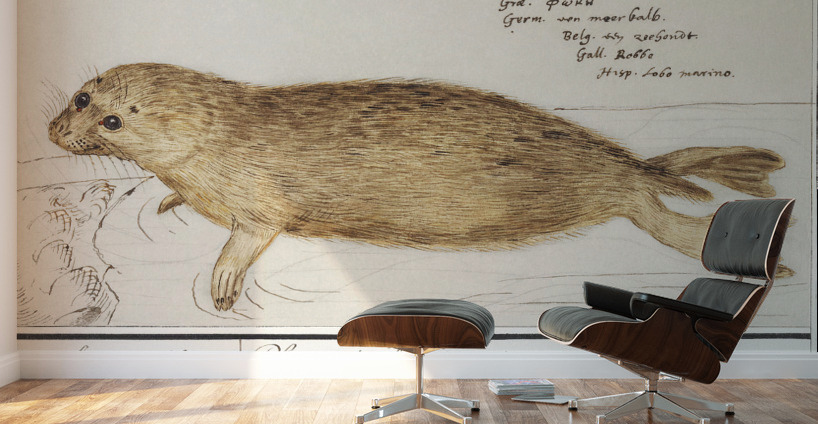 Seal in vintage style Wall Murals