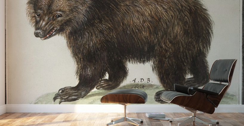 Grizzly bear in vintage style Wall Murals