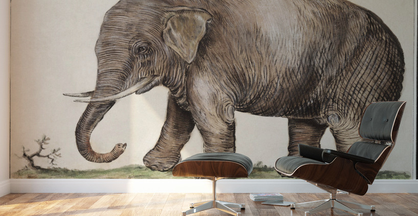 Elephant in vintage style Wall Murals