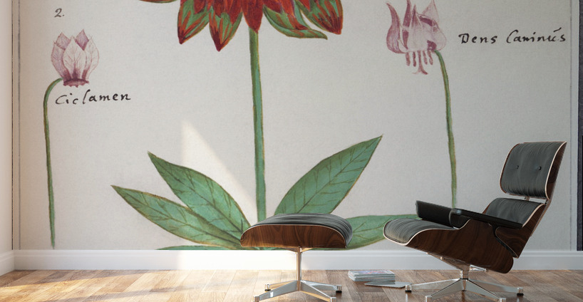 Anemone in vintage style Wall Murals