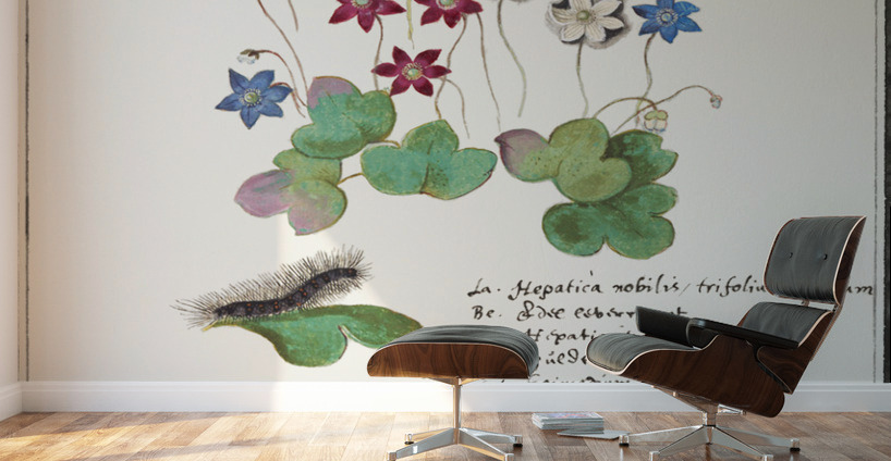 Liverleaf in vintage style Wall Murals